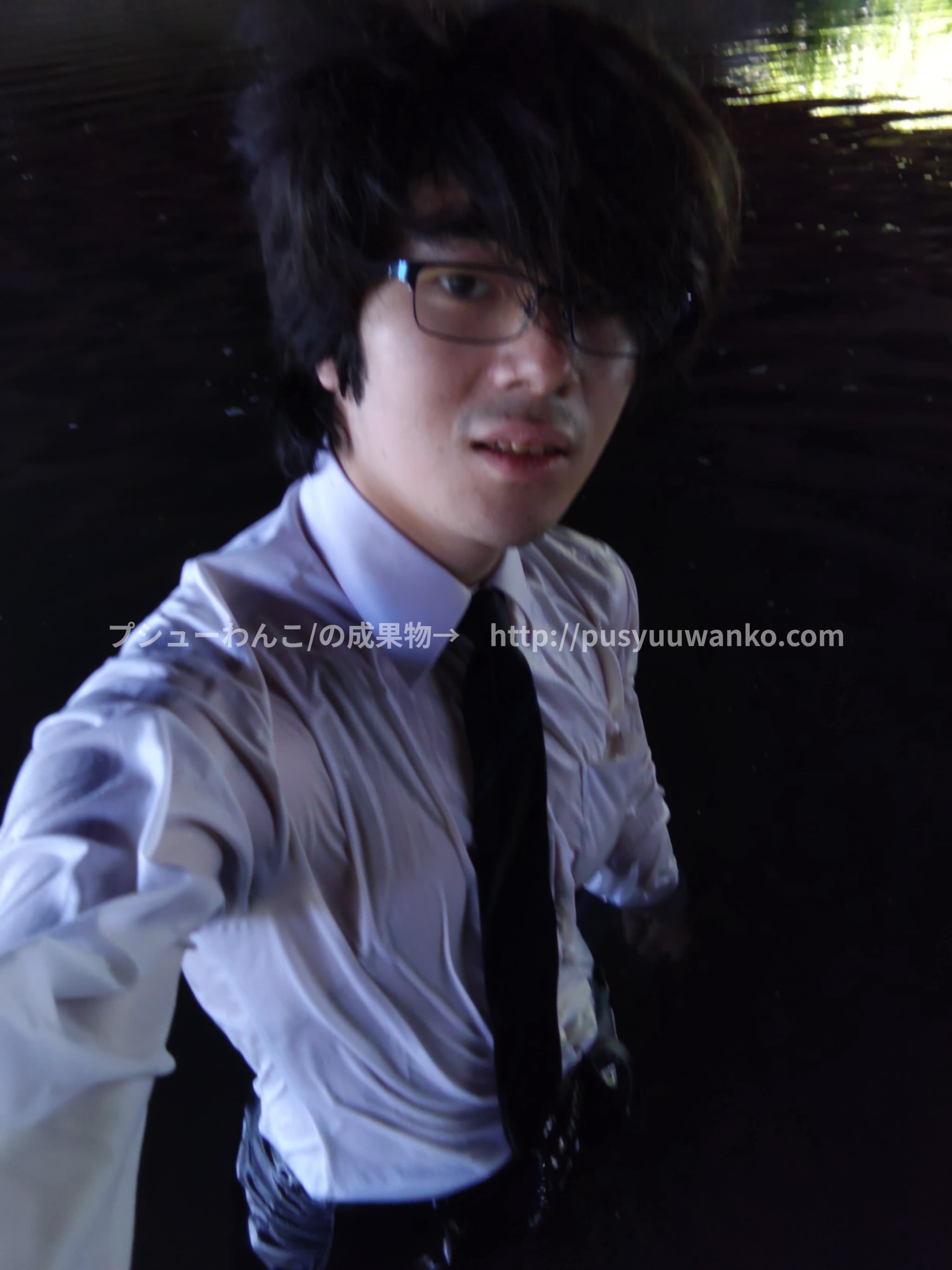 投稿された画像/Images that have been posted.