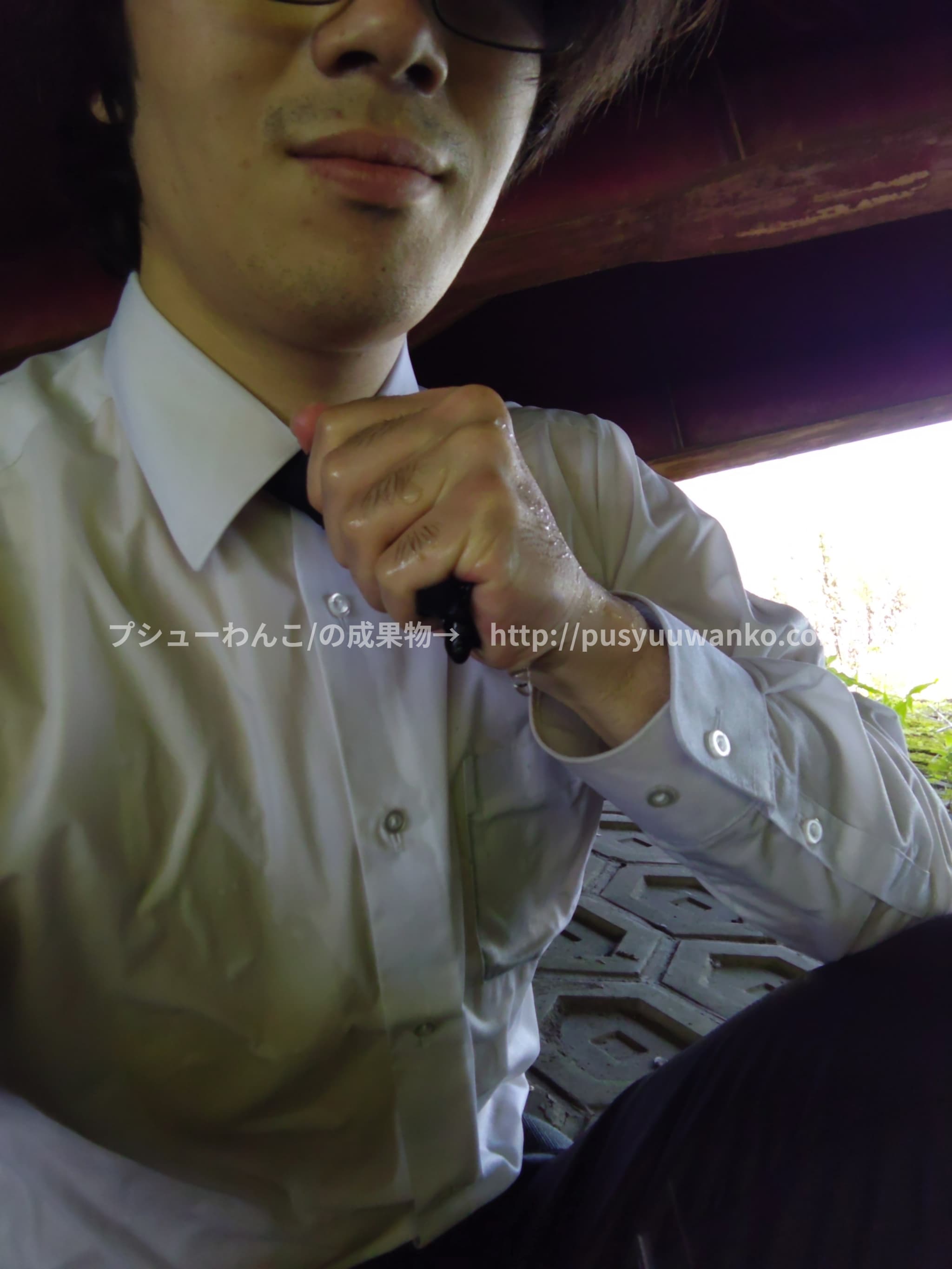 投稿された画像/Images that have been posted.