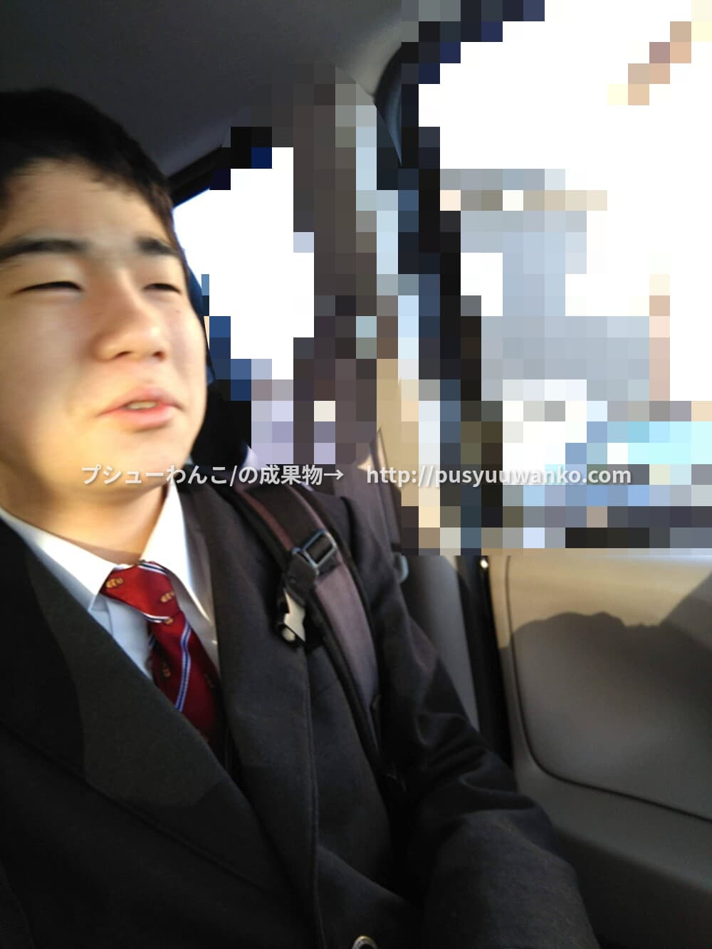 投稿された画像/Images that have been posted.