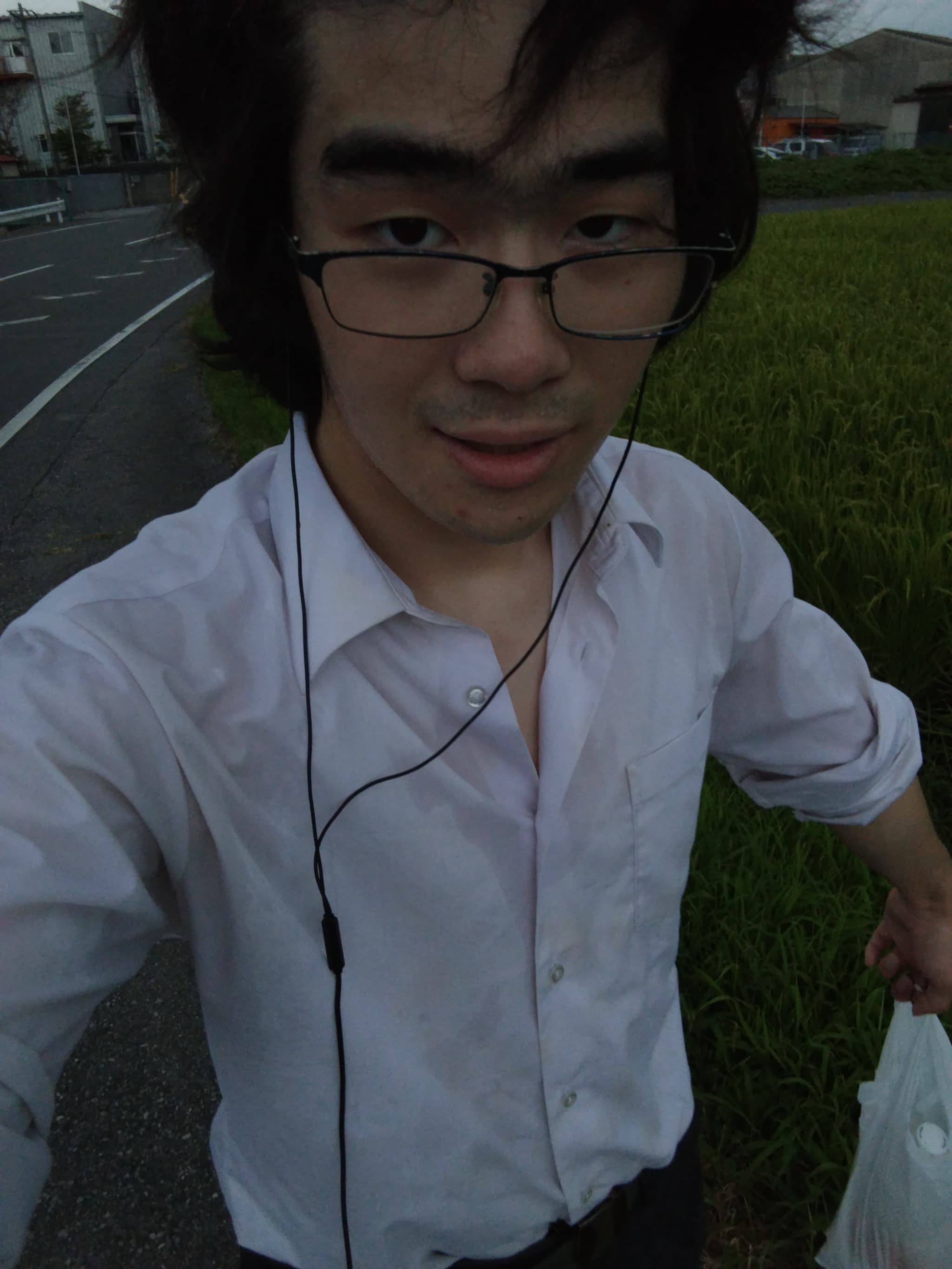 投稿された画像/Images that have been posted.